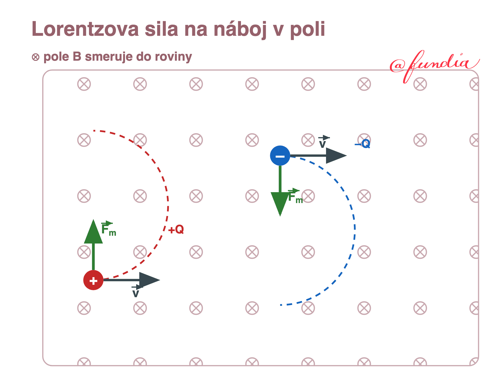Homogénne magnetické pole B smerujúce do roviny obrázka, znázornené mriežkou symbolov krížika. Kladný náboj plus Q a záporný náboj mínus Q vstupujú do poľa rovnakou rýchlosťou v smerujúcou doprava. Magnetická sila F vychyľuje kladný náboj nahor a záporný náboj nadol, takže sa oba pohybujú po kružnici, ale na opačné strany.